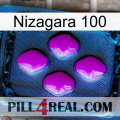 Nizagara 100 04